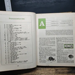 Macmillan School Dictionary รูปที่ 8