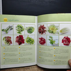 ผัก 333 ชนิด คุณค่าอาหารและการกิน รูปที่ 11