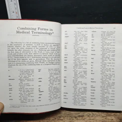 Dorland's Pocket Medical Dictionary รูปที่ 10