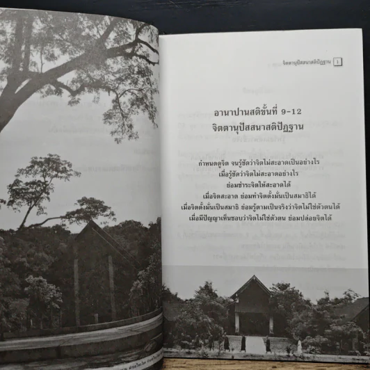 อานาปานสติ : วิถีแห่งความสุข 3 อานาปานสติ ขั้นที่ 9-16 - พระอาจารย์มิตซูโอะ คเวสโก รูปที่ 9
