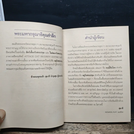 อยู่วังสระปทุม - สุมาลี, หมาจ๋า รูปที่ 7