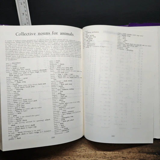 The Macquarie Dictionary รูปที่ 8