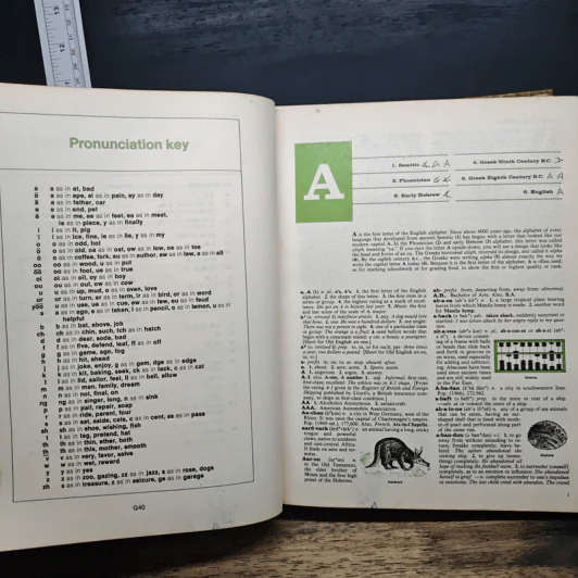 Macmillan School Dictionary รูปที่ 8