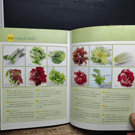 ผัก 333 ชนิด คุณค่าอาหารและการกิน รูปที่ 11