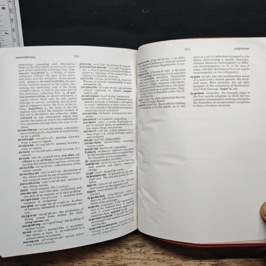 Dorland's Pocket Medical Dictionary รูปที่ 12