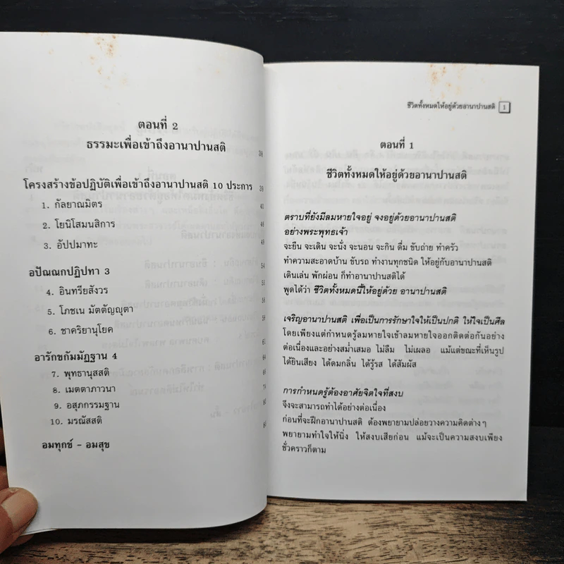 อานาปานสติ : วิถีแห่งความสุข 1 ชีวิตทั้งหมดให้อยู่ด้วยอานาปานสติ - พระอาจารย์มิตซูโอะ คเวสโก รูปที่ 9