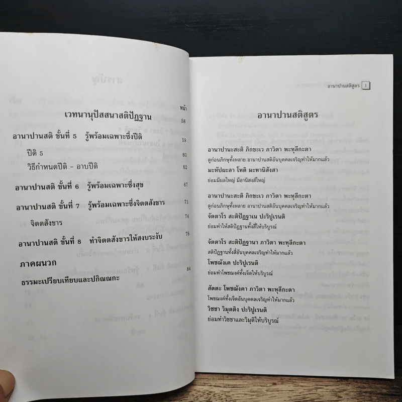 อานาปานสติ : วิถีแห่งความสุข 2 อานาปานสติ ขั้นที่ 1-8 - พระอาจารย์มิตซูโอะ คเวสโก รูปที่ 8