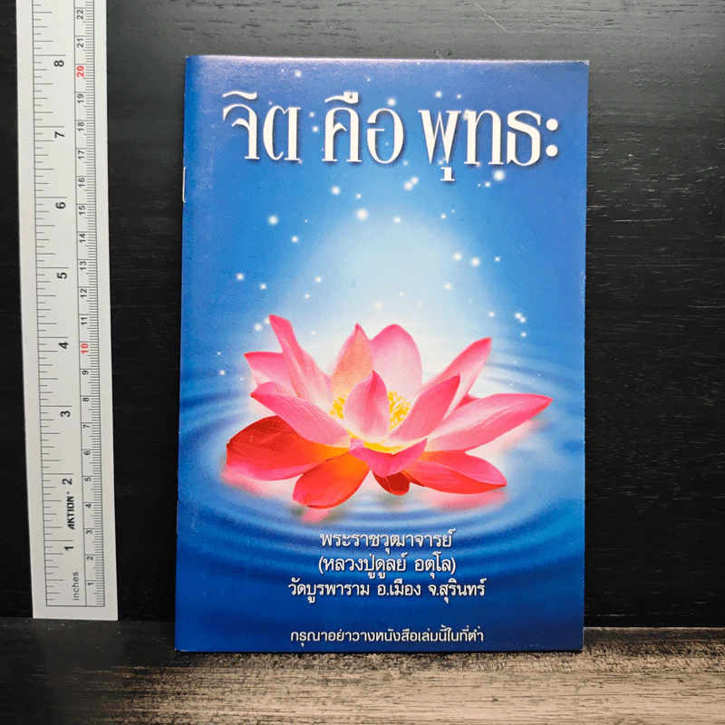 จิตคือพุทธะ - หลวงปู่ดุลย์ อตุโล รูปที่ 1