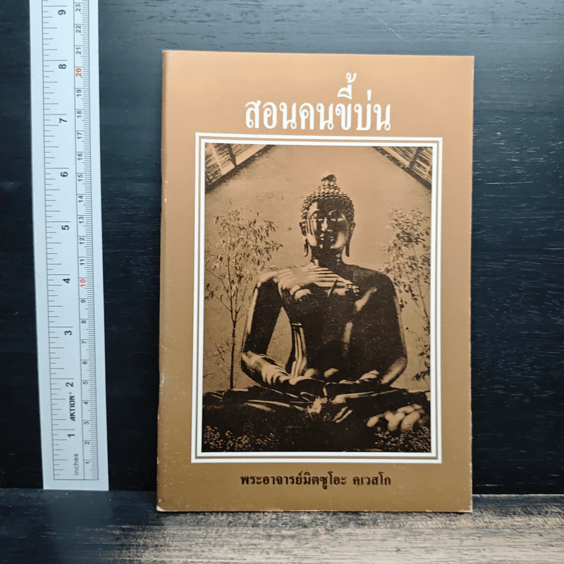 สอนคนขี้บ่น - พระอาจารย์มิตซูโอะ คเวสโก รูปที่ 1
