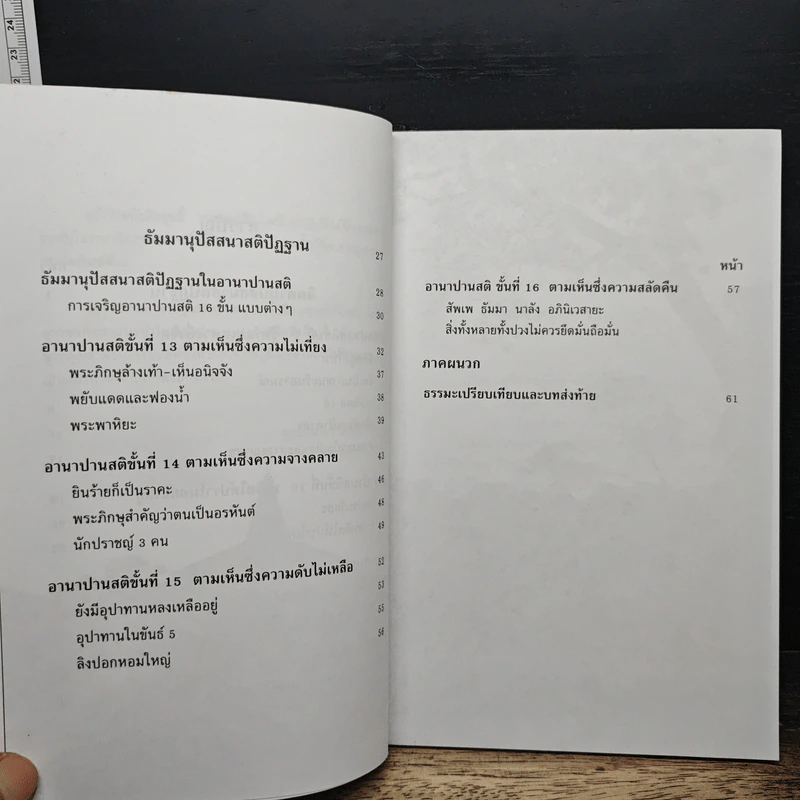 อานาปานสติ : วิถีแห่งความสุข 3 อานาปานสติ ขั้นที่ 9-16 - พระอาจารย์มิตซูโอะ คเวสโก รูปที่ 8