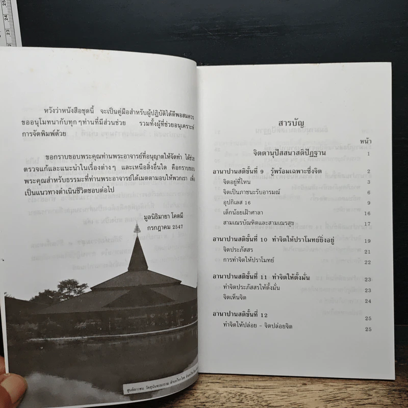 อานาปานสติ : วิถีแห่งความสุข 3 อานาปานสติ ขั้นที่ 9-16 - พระอาจารย์มิตซูโอะ คเวสโก รูปที่ 7
