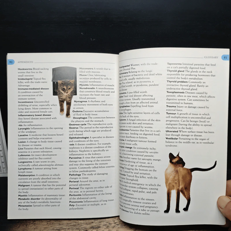What's Up with My Cat? - Dr. Bruce Fogle รูปที่ 10