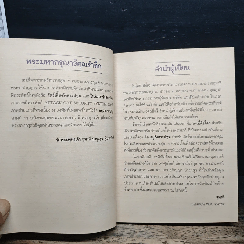 อยู่วังสระปทุม - สุมาลี, หมาจ๋า รูปที่ 7