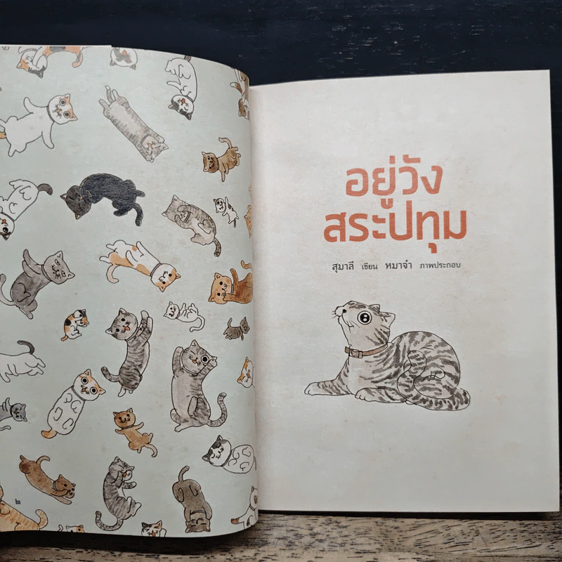 อยู่วังสระปทุม - สุมาลี, หมาจ๋า รูปที่ 6