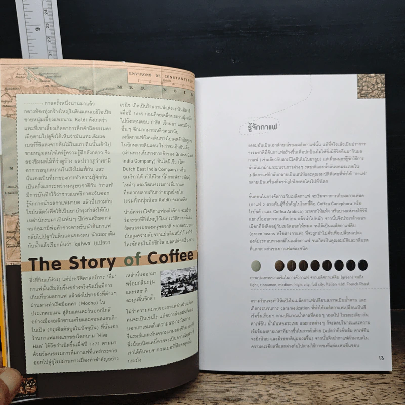 Cafe' Culture เรื่องของคนรักกาแฟ รูปที่ 8