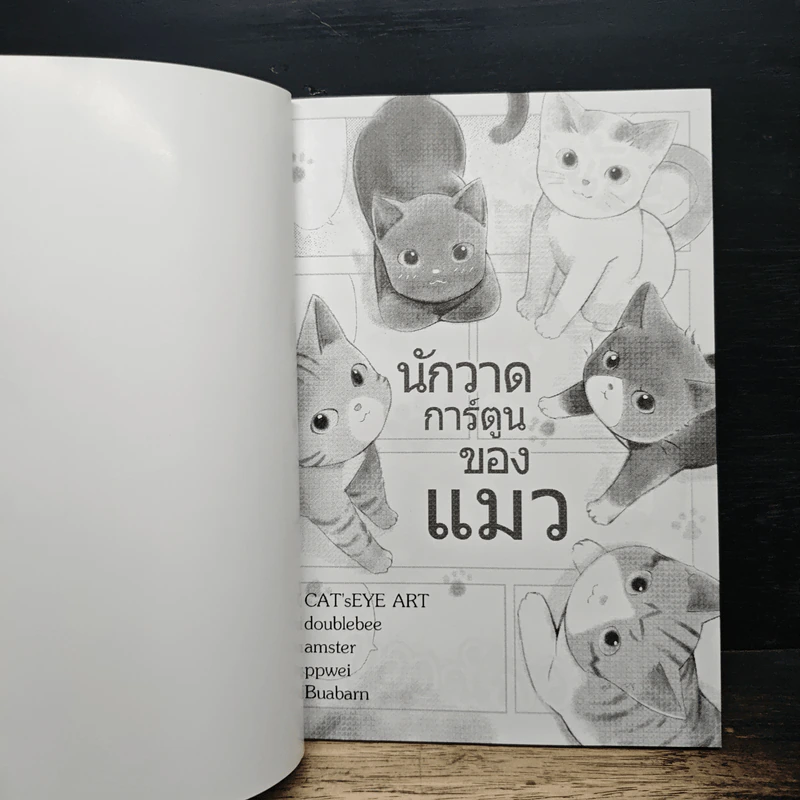 นักวาดการ์ตูนของแมว - doublebee, amster รูปที่ 6
