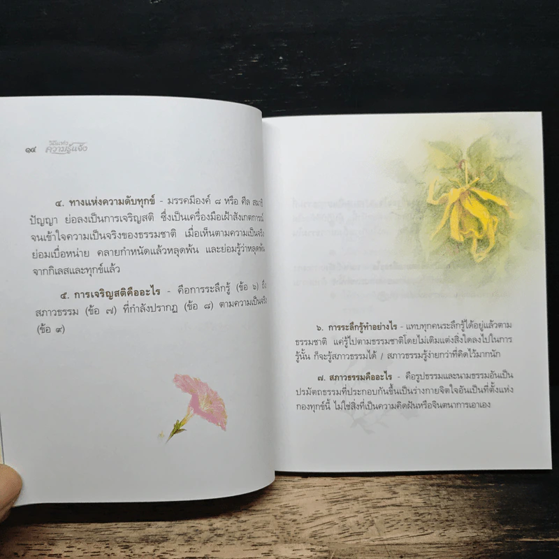 วิถีแห่งความรู้แจ้ง - พระปราโมทย์ ปราโมฺโช รูปที่ 9