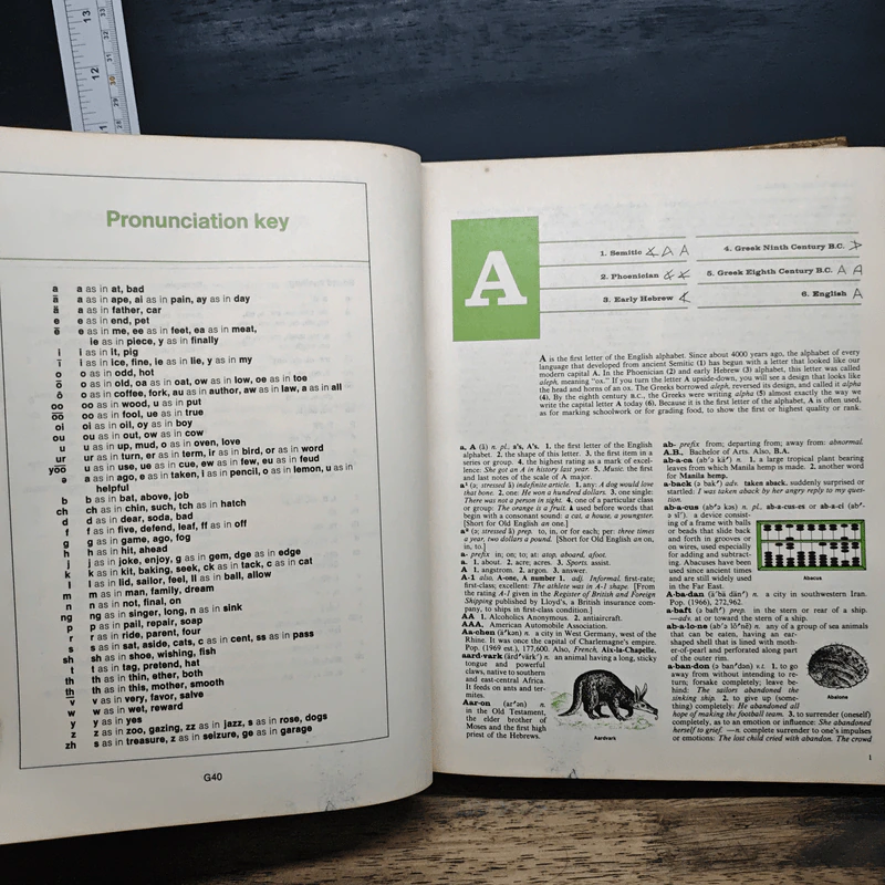 Macmillan School Dictionary รูปที่ 8