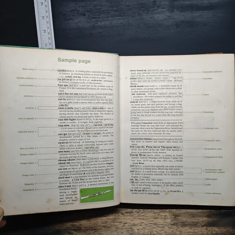 Macmillan School Dictionary รูปที่ 7