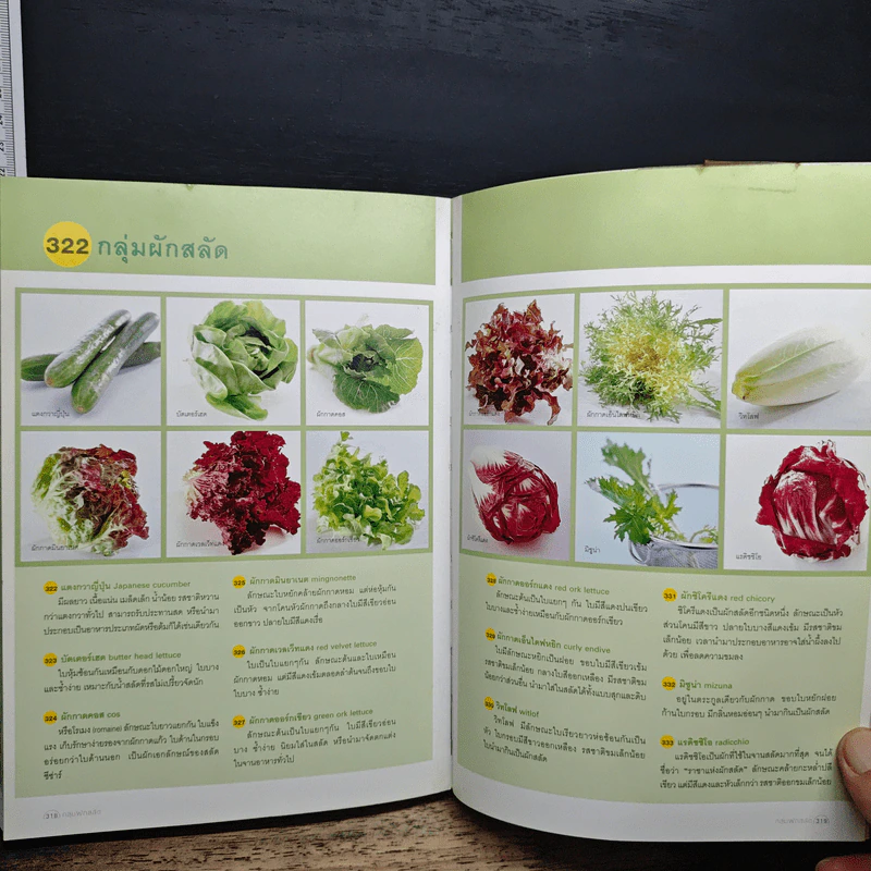 ผัก 333 ชนิด คุณค่าอาหารและการกิน รูปที่ 11
