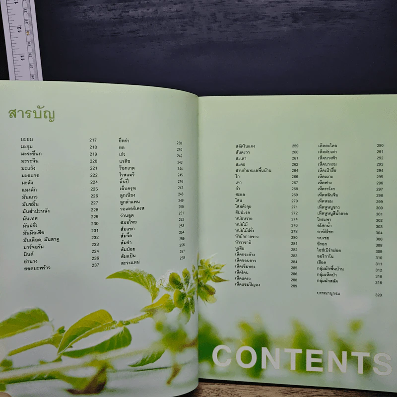 ผัก 333 ชนิด คุณค่าอาหารและการกิน รูปที่ 9