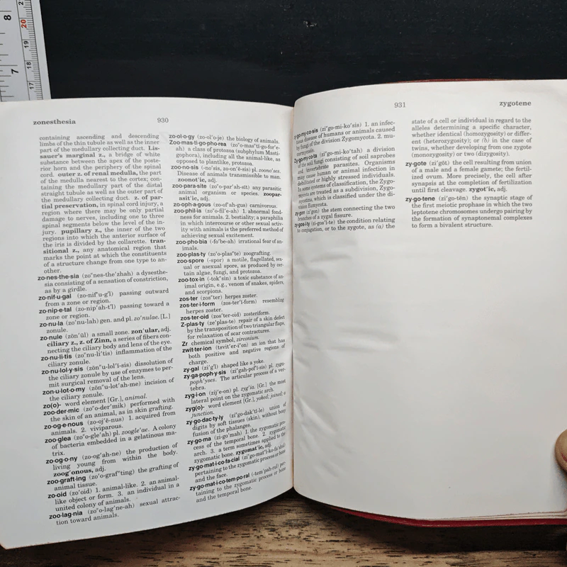 Dorland's Pocket Medical Dictionary รูปที่ 12