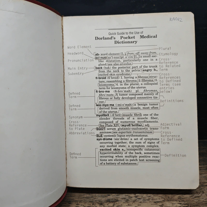 Dorland's Pocket Medical Dictionary รูปที่ 6
