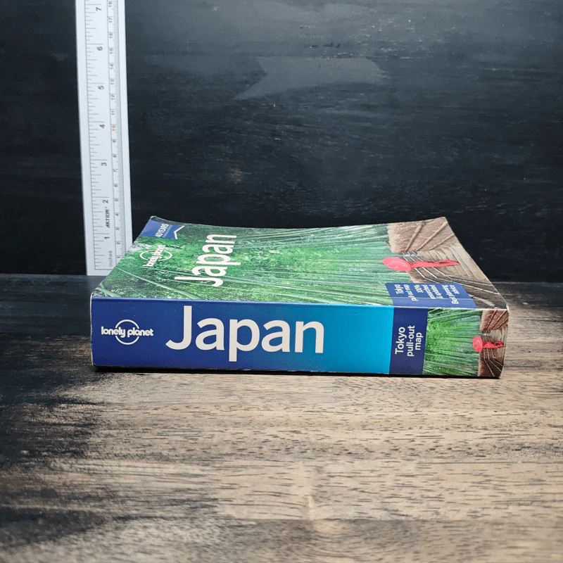 Lonely Planet Japan รูปที่ 3