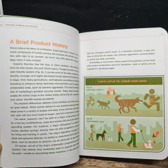 Dog Owner’s manual - Dr. David Brunner รูปที่ 11