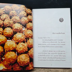Chocolate เรื่องราวของช็อกโกแลต - Fullstop รูปที่ 11