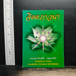 จิตตภาวนา - พระอาจารย์เปลี่ยน ปญฺญาปทีโป