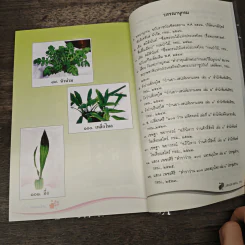 คุณค่าว่านไทย ตระกูลว่านไทย เล่ม 1 - โชติอนันต์ และคณะ รูปที่ 10