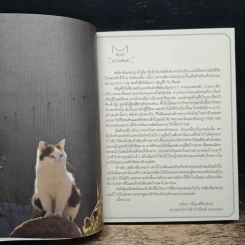 เหมียวอินเจแปน - จิราภรณ์ วิหวา, สลิลา มหันต์เชิดชูวงศ์ รูปที่ 6