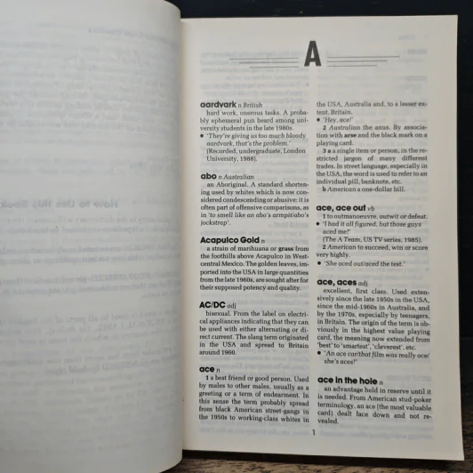 Dictionary of Contemporary Slang - Tony Thorne รูปที่ 7