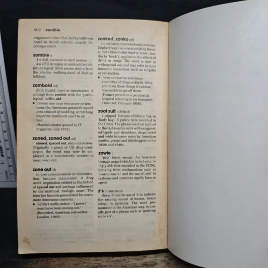 Dictionary of Contemporary Slang - Tony Thorne รูปที่ 8