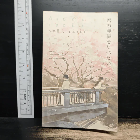 ตับอ่อนเธอนั้นขอฉันเถอะนะ : I Want to Eat Your Pancreas - Yoru Sumino (โยรุ ซูมิโนะ) รูปที่ 1