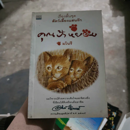 คุณป้าหยอม - มโนรี รูปที่ 1