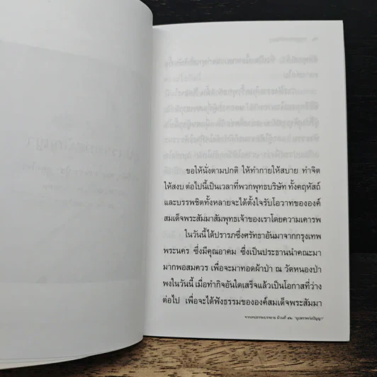 อุปสรรคก่อปัญญา - พระโพธิญาณเถร (หลวงปู่ชา สุภทฺโท) รูปที่ 8