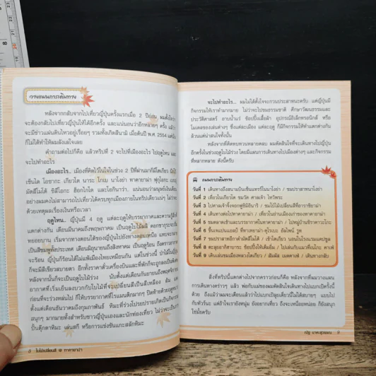 แบกเป้ลุยเดี่ยว เที่ยวญี่ปุ่น - ณัฐ นาคะสุวรรณ รูปที่ 9