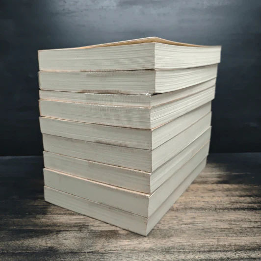 นิยายชุด Dark Series เล่ม 1-9 - คริสติน ฟีแฮน (Christine Feehan) รูปที่ 3