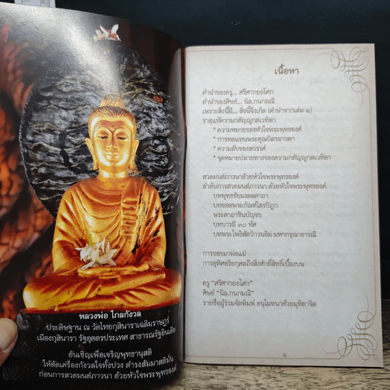 สวดมนต์ภาวนาด้วยหัวใจพระพุทธองค์ รูปที่ 6