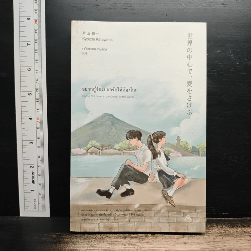 อยากกู่ร้องบอกรักให้ก้องโลก - Kyoichi Katayama (เคียวอิจิ คาตายามะ) รูปที่ 1