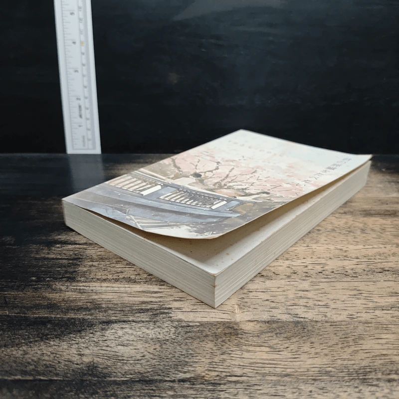 ตับอ่อนเธอนั้นขอฉันเถอะนะ : I Want to Eat Your Pancreas - Yoru Sumino (โยรุ ซูมิโนะ) รูปที่ 4