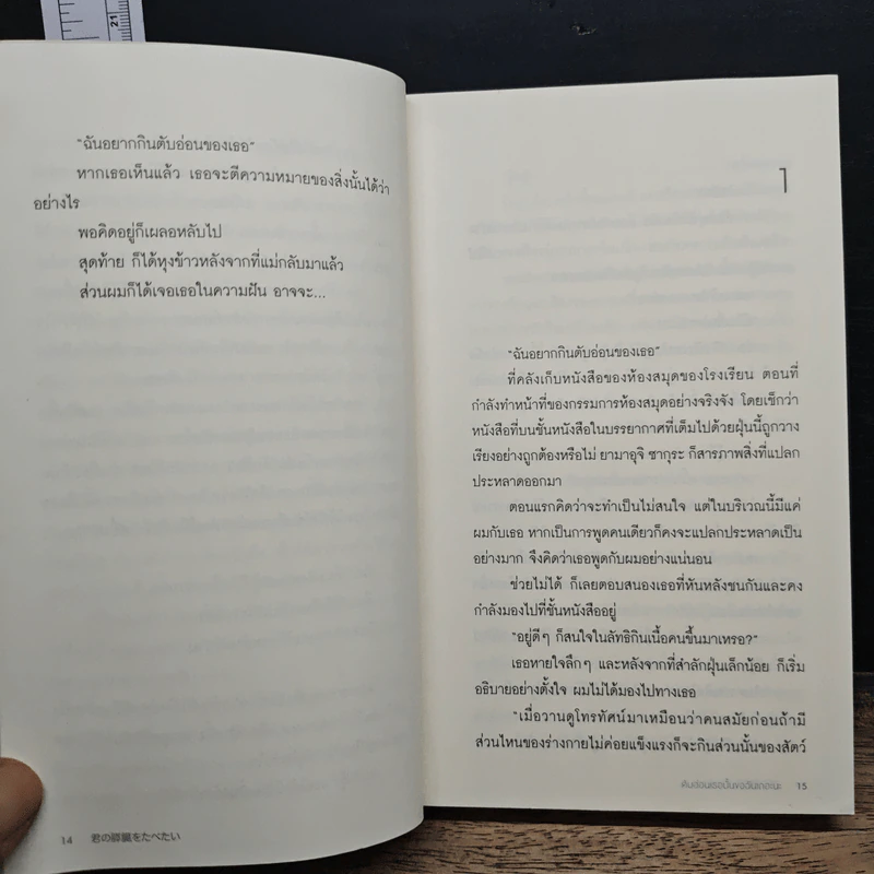 ตับอ่อนเธอนั้นขอฉันเถอะนะ : I Want to Eat Your Pancreas - Yoru Sumino (โยรุ ซูมิโนะ) รูปที่ 8