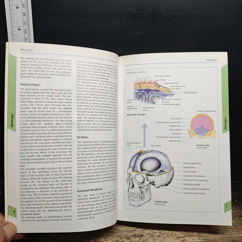 Color Atlas of Neurology รูปที่ 10