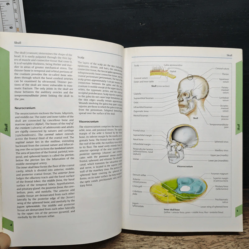 Color Atlas of Neurology รูปที่ 9