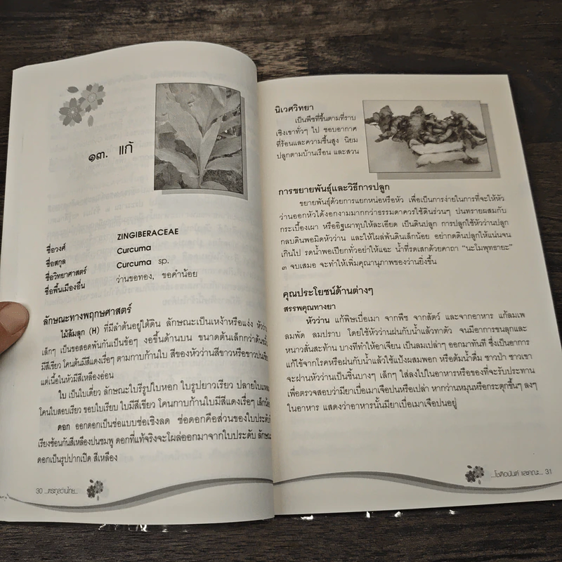 คุณค่าว่านไทย ตระกูลว่านไทย เล่ม 1 - โชติอนันต์ และคณะ รูปที่ 9