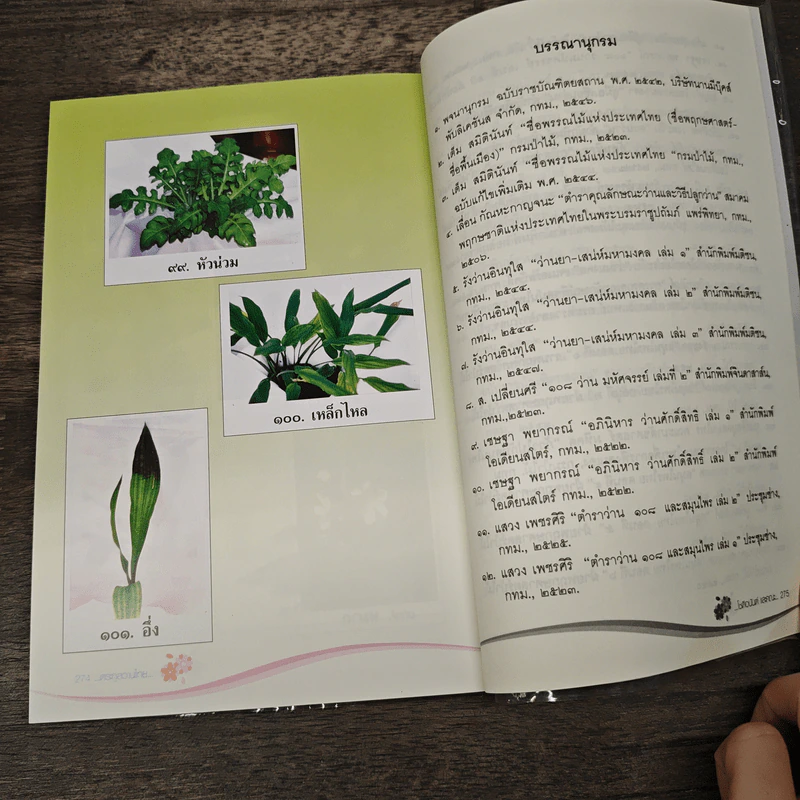 คุณค่าว่านไทย ตระกูลว่านไทย เล่ม 1 - โชติอนันต์ และคณะ รูปที่ 10