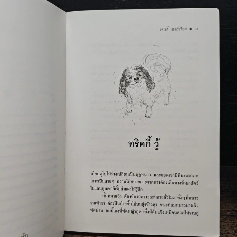 หมาสารพัด - เจมส์ เฮอร์เรียต รูปที่ 9