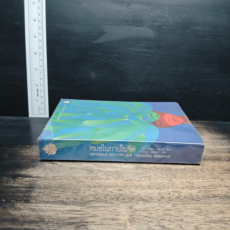 หมอในกายในจิต : Invisible Doctor - B.K. Chandra Shekhar (บี.เค. จันทรา เชคการ์) รูปที่ 3